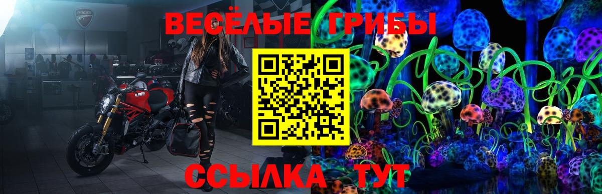 Дзержинск  Галлюциногенные грибы мицелий  Вход с VPN  Псилоцибиновые грибы ЛСД 
